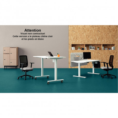 BUREAU RÉGLABLE ÉLECTRIQUE LUTZ/GUERA L120X80CM PLATEAU CHÊNE CLAIR/PIÈT. BLANC