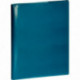 AGENDA SEMAINIER CONSULTATION BLEU CANARD 21X29,7CM 13 mois