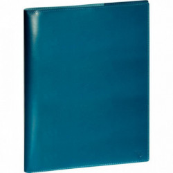 AGENDA SEMAINIER CONSULTATION BLEU CANARD 21X29,7CM 13 mois